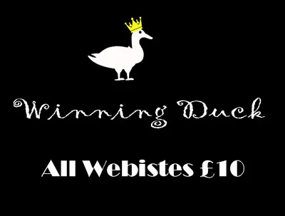 winningduck.com